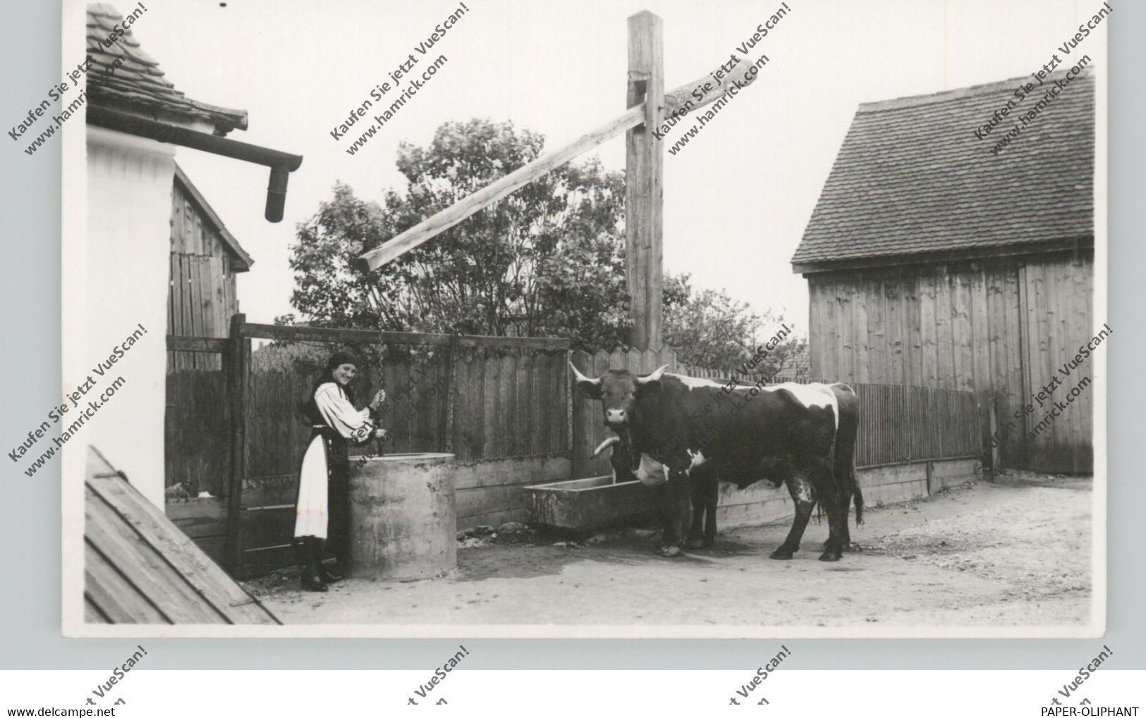 LANDWIRTSCHAFT - Rumänische Bäuerin Am Ziehbrunnen, Photo-AK - Fattorie