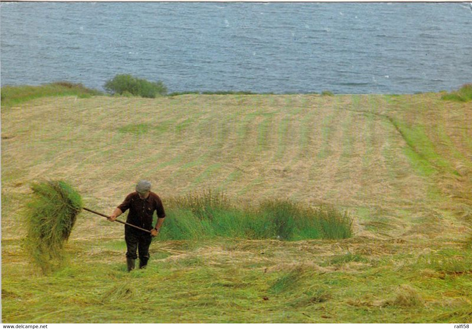 1 AK Irland / Ireland * Shaking The Hay On The Coast Near Killybegs - County Donegal * - Donegal