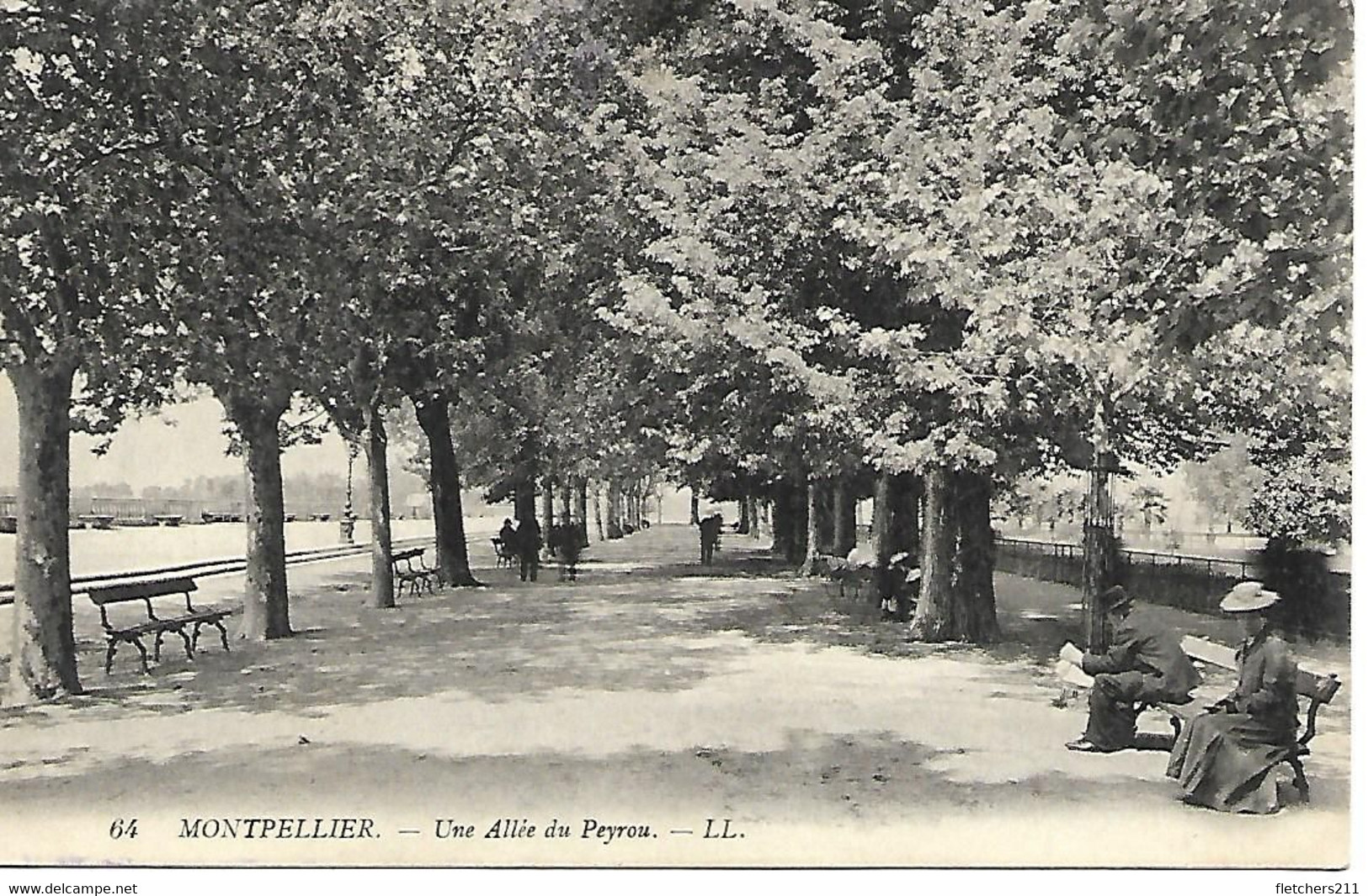 Carte Postale - CPA Dpt N°34 HERAULT - Non Ecrite - MONTPELLIER - Une Allée Du Peyrou. - Montpellier