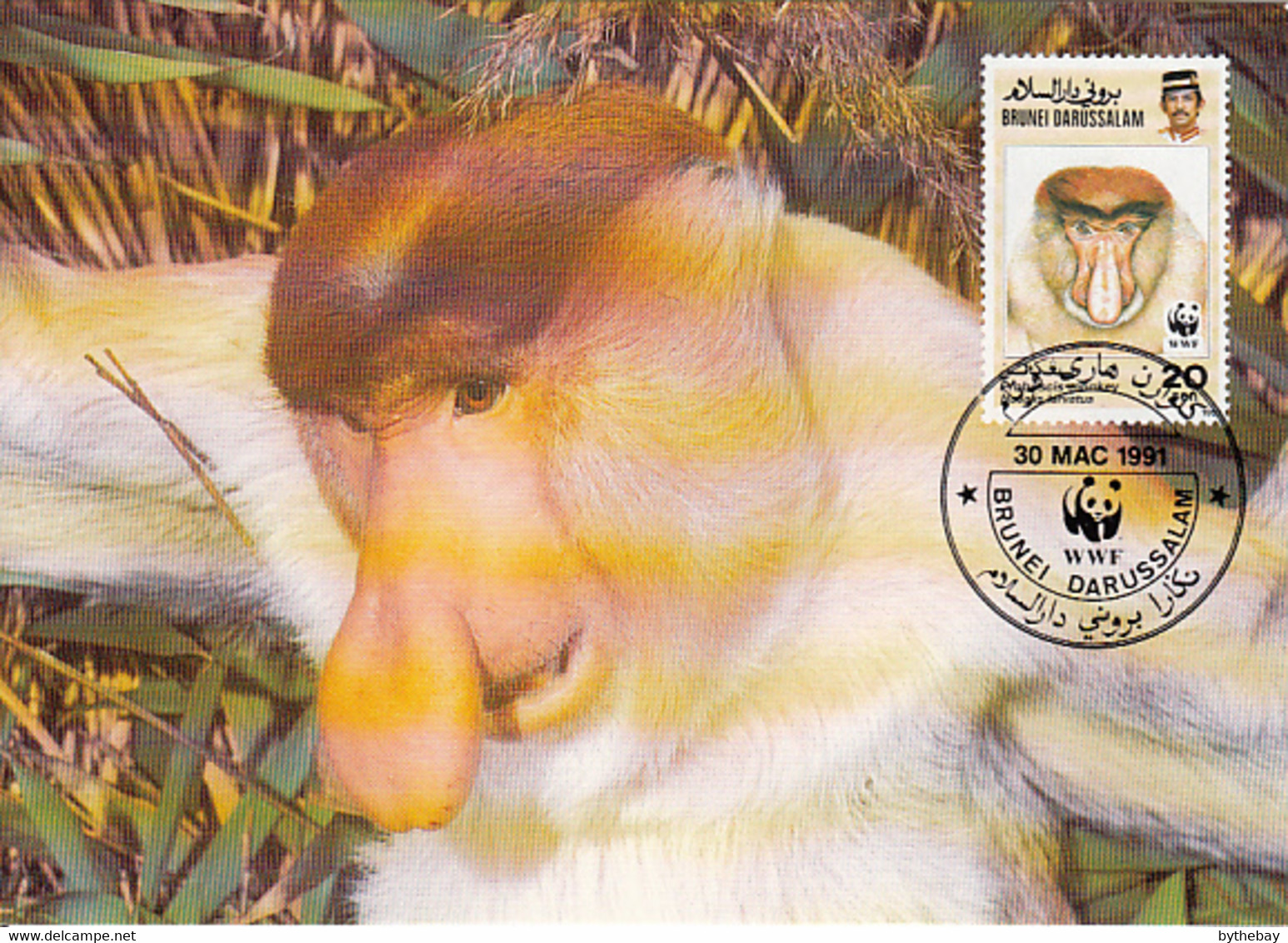 Brunei 1991 Maxicard Sc #425 20c Proboscis Monkey WWF - Brunei (1984-...)