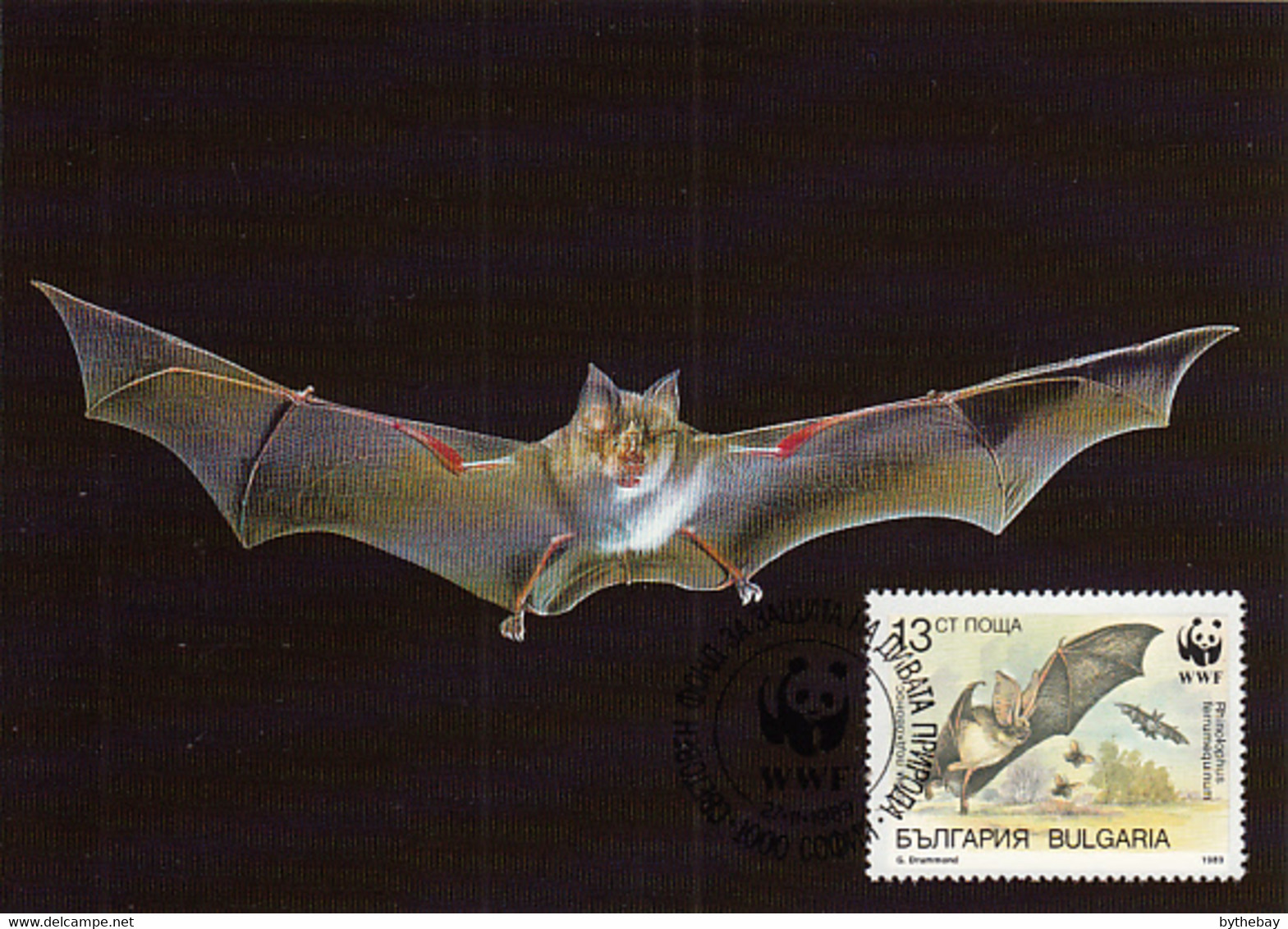 Bulgaria 1989 Maxicard Sc #3399 13s Horseshoe Bat WWF - Brieven En Documenten