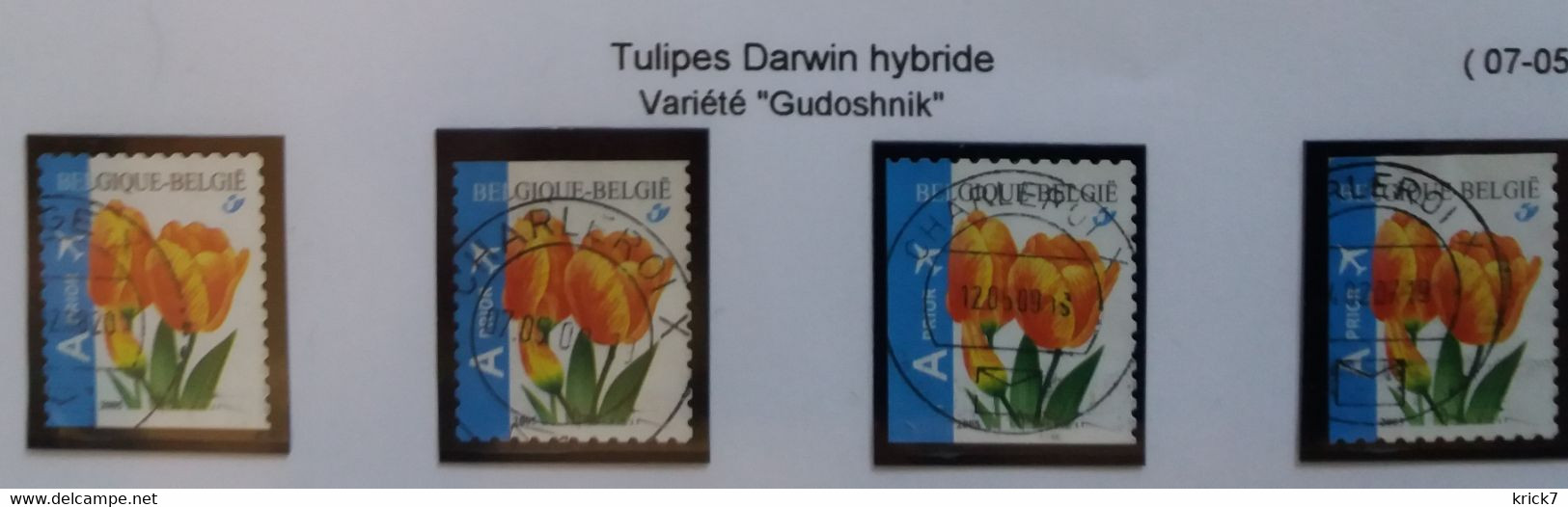 Belgique COB N°3406 A,b,c Oblitéré " Tulipe Darwin " - Used Stamps