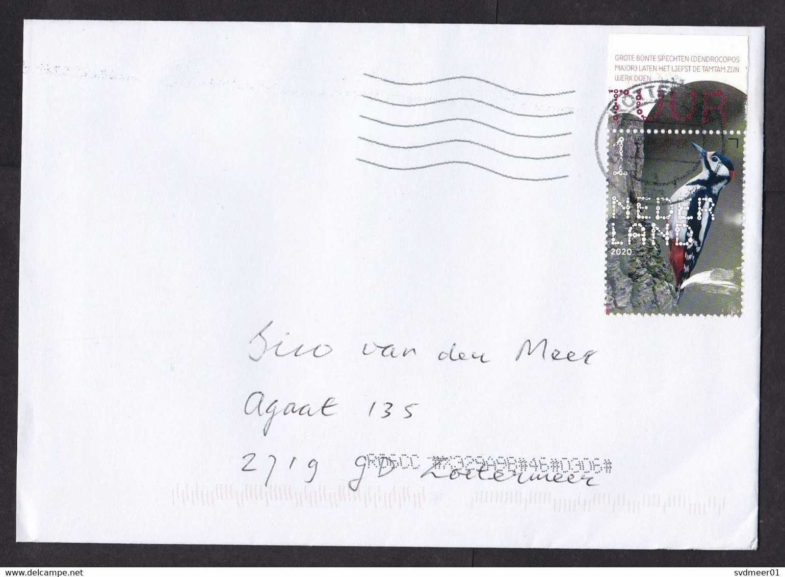 Netherlands: Cover, 2020, 1 Stamp + Tab, Woodpecker Bird, Animal (traces Of Use) - Briefe U. Dokumente