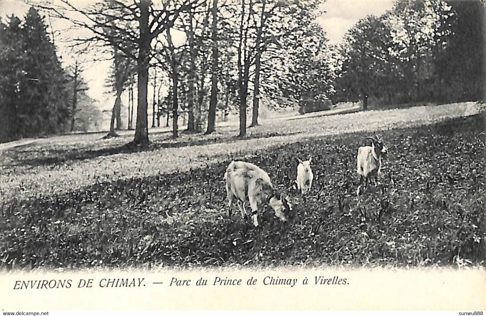 Chimay (environs De) - Parc Du Prince De Chimay à Virelles (Edit. Th Van Den Heuvel) - Chimay