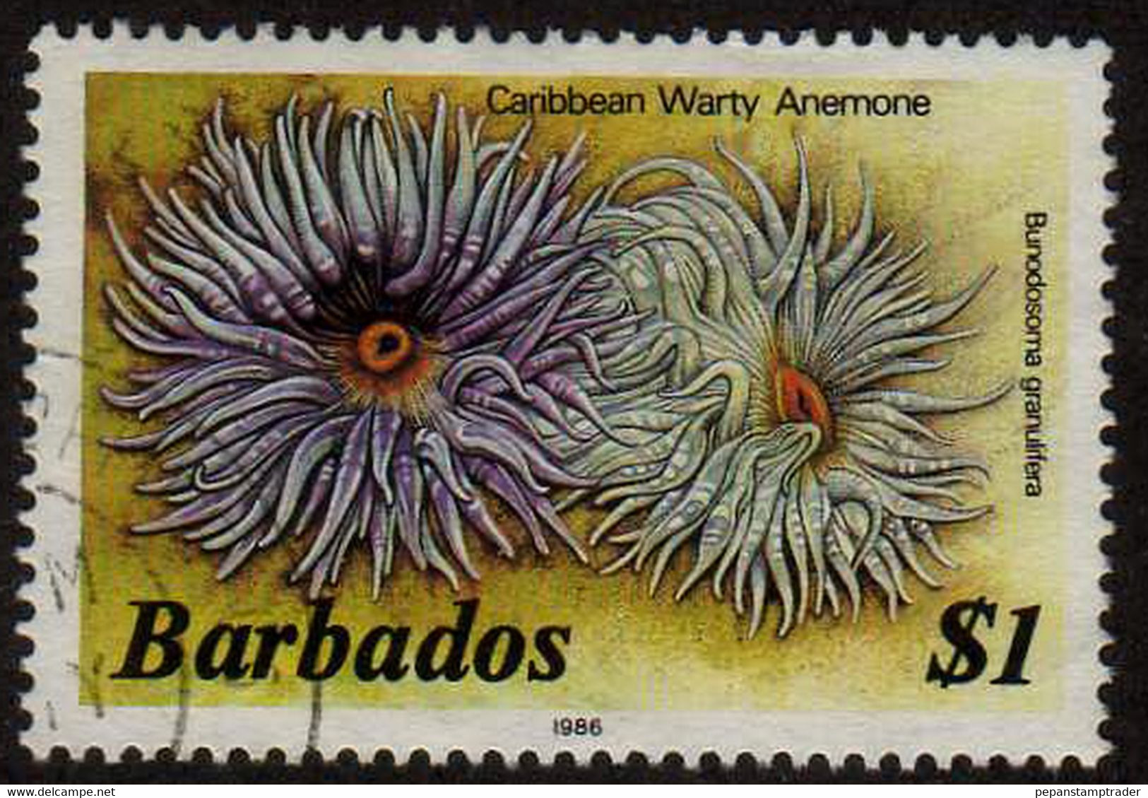 Barbados - #656c - Used - Barbados (1966-...)