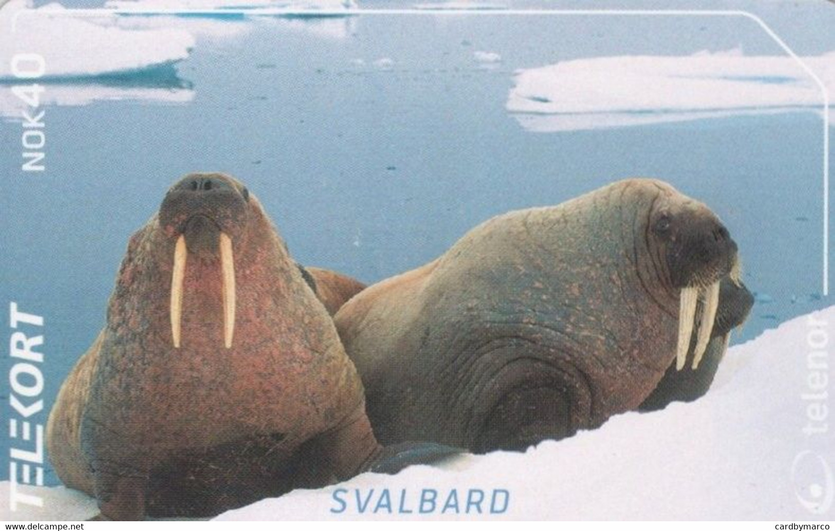 *NORVEGIA - ISOLE SVALBARD* -  Scheda Usata - Svalbard