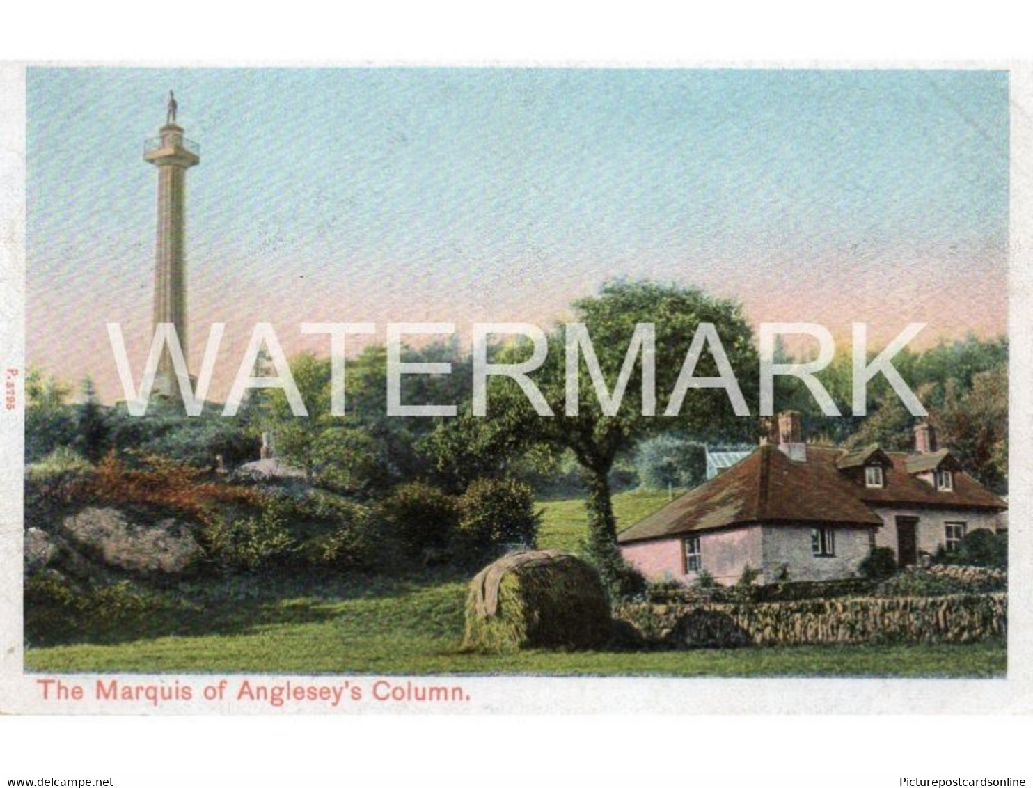 MARQUIS OF ANGLESEYS COLUMN OLD COLOUR POSTCARD WALES - Anglesey