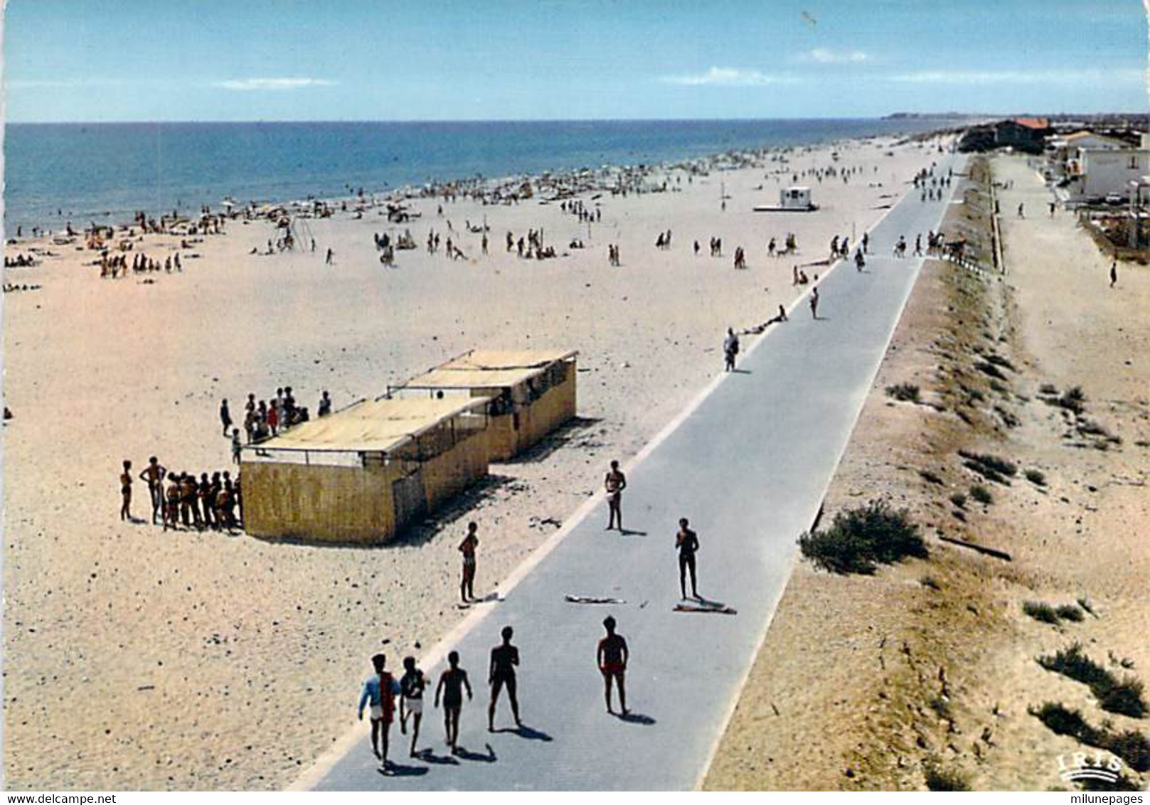 34 HERAULT Vue D'ensemble De La Plage Et De La Promenade De MARSEILLAN - Marseillan