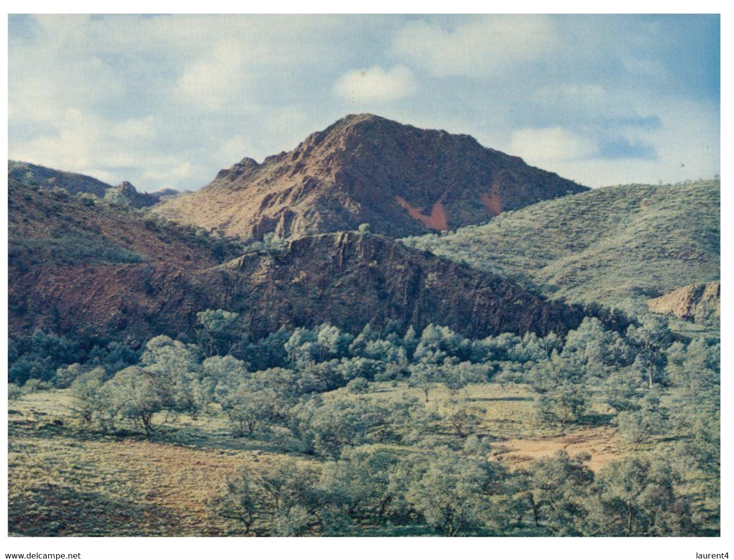 (P 3) Australia - SA - Arkaroola Mt Painter - Sonstige & Ohne Zuordnung