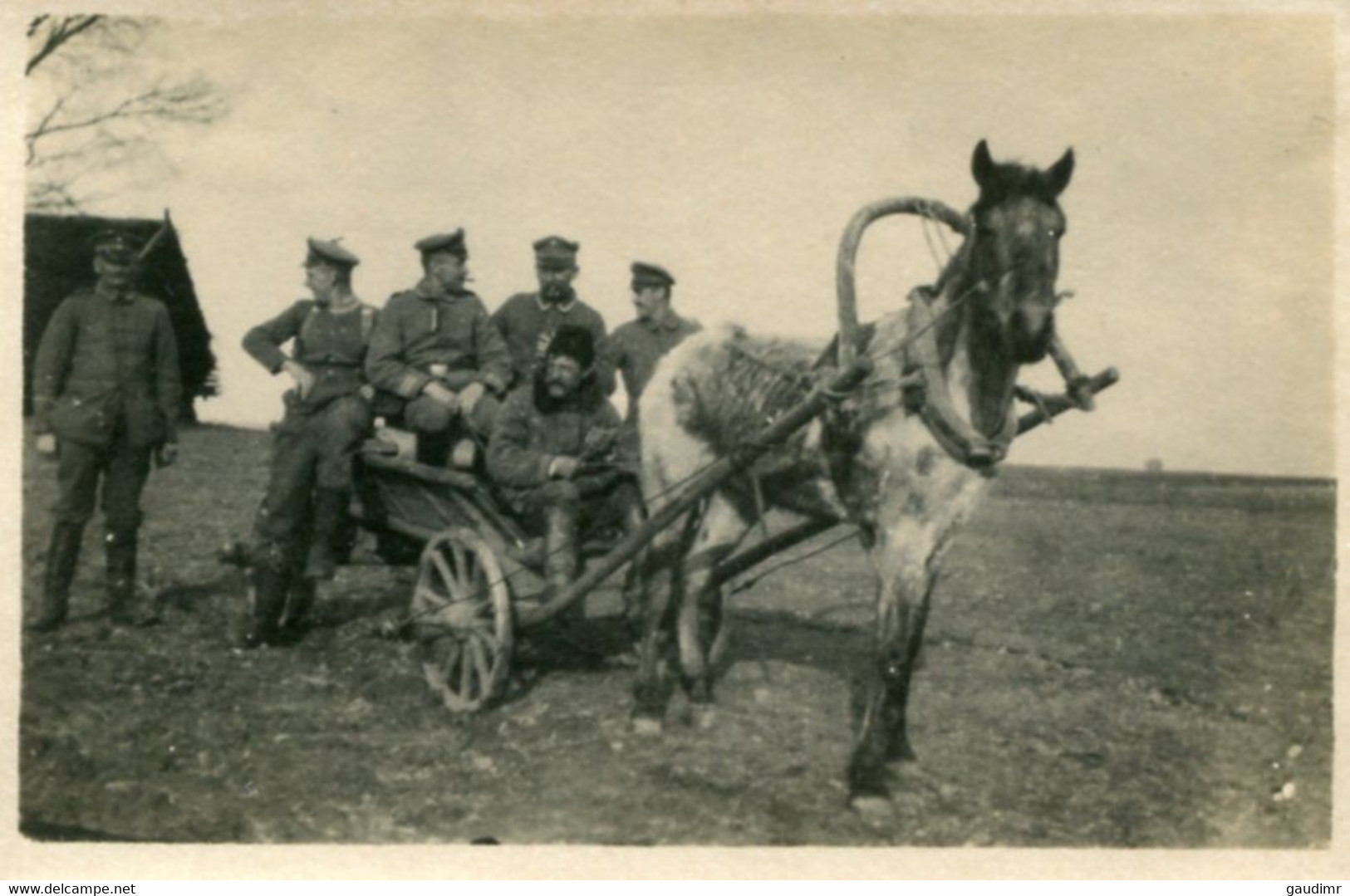 PHOTO ALLEMANDE - SOLDATS EN CALECHE DU IR 58 A WILNA - VILNIUS EN LITUANIE - GUERRE 1914 1918 -1 WK - WW1 - 1914-18