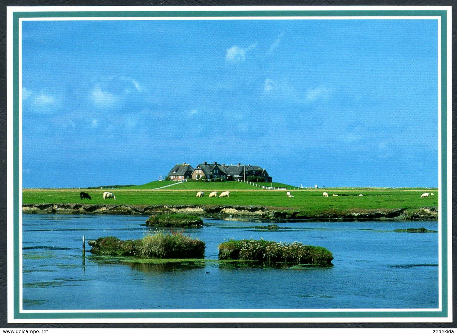 E0981 - TOP Motivkarte - Foto Richard Jessen - Westerwarft Auf Hallig Hooge - Halligen