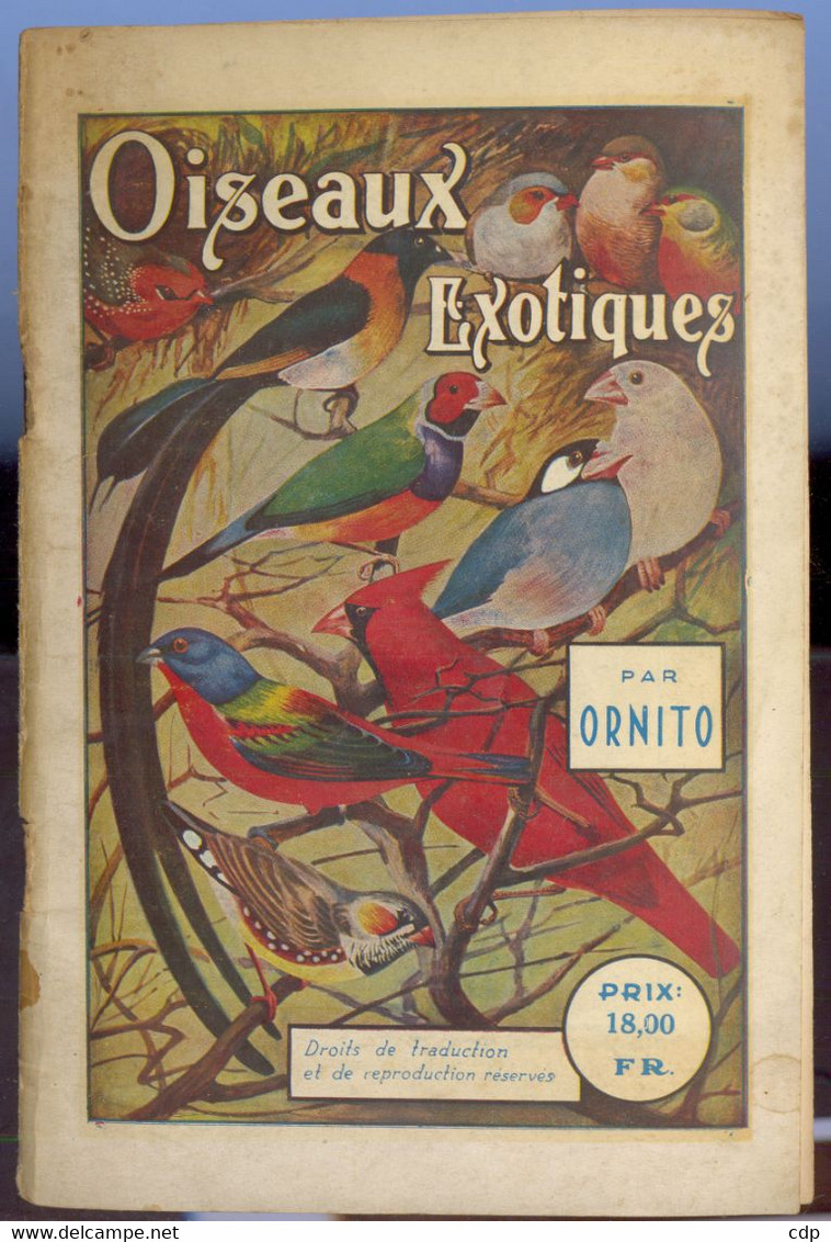 Oiseaux Exotiques - Animaux