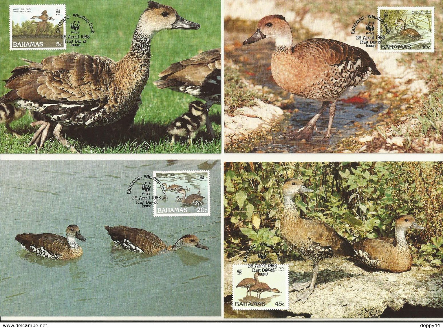 LOT 4 CARTES MAXIMUM  WWF  BAHAMAS Dendrocygne Des Antilles / WEST INDIAN WHISTLING DUCK. - Maximum Cards