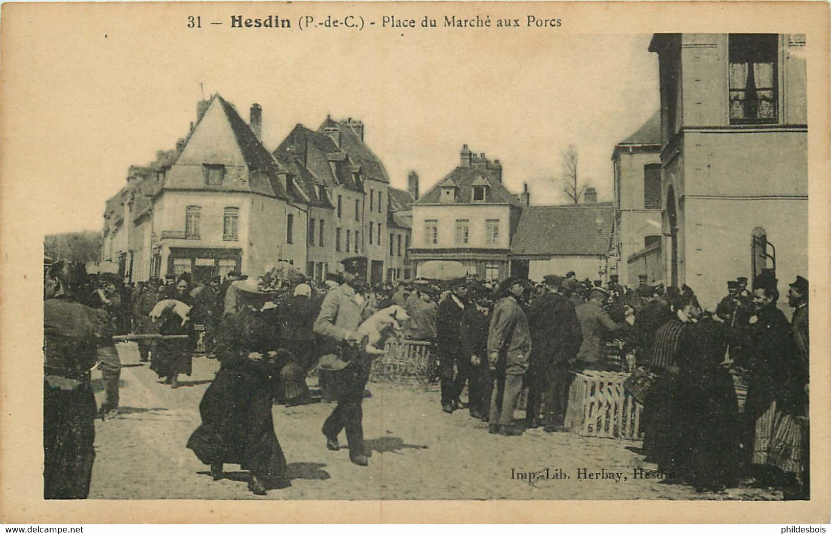 PAS DE CALAIS  HESDIN  Place Du Marché Aux Porcs - Hesdin