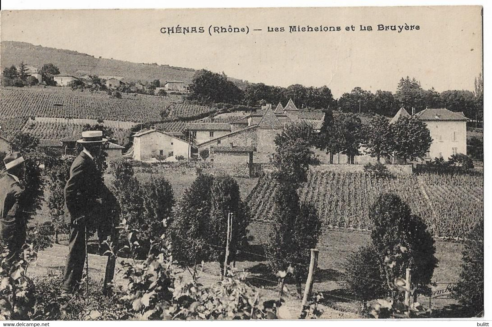 CHENAS - Les Michelons Et La Bruyère - Chenas