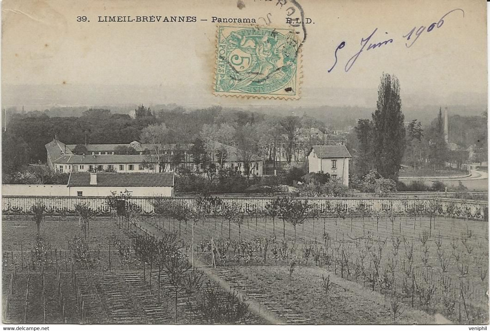 LIMEIL-BREVANNES - PANORAMA - ANNEE 1906 - Montaigu