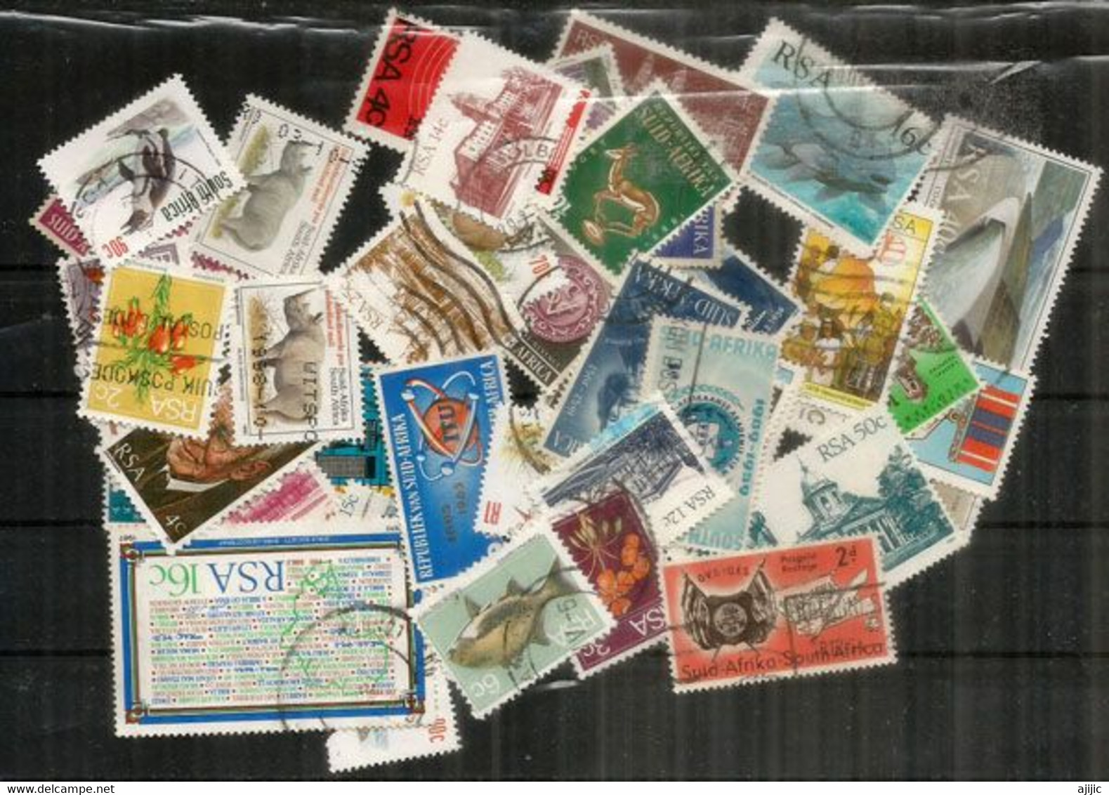 AFRIQUE DU SUD. Lot De 50 Timbres Oblitérées, Grands Formats, Lot # 3 - Oblitérés