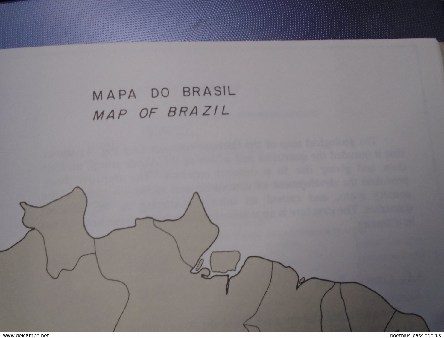 CARBONITIC COMPLEXES OF BRAZIL : GEOLOGY 1984 COMPANHIA BRASILEIRA DE METALURGIA E MINERACAO / BRESIL, GEOLOGIE...