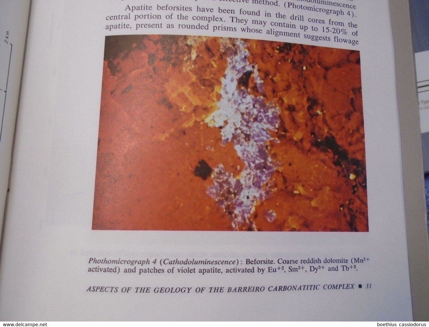 CARBONITIC COMPLEXES OF BRAZIL : GEOLOGY 1984 COMPANHIA BRASILEIRA DE METALURGIA E MINERACAO / BRESIL, GEOLOGIE...