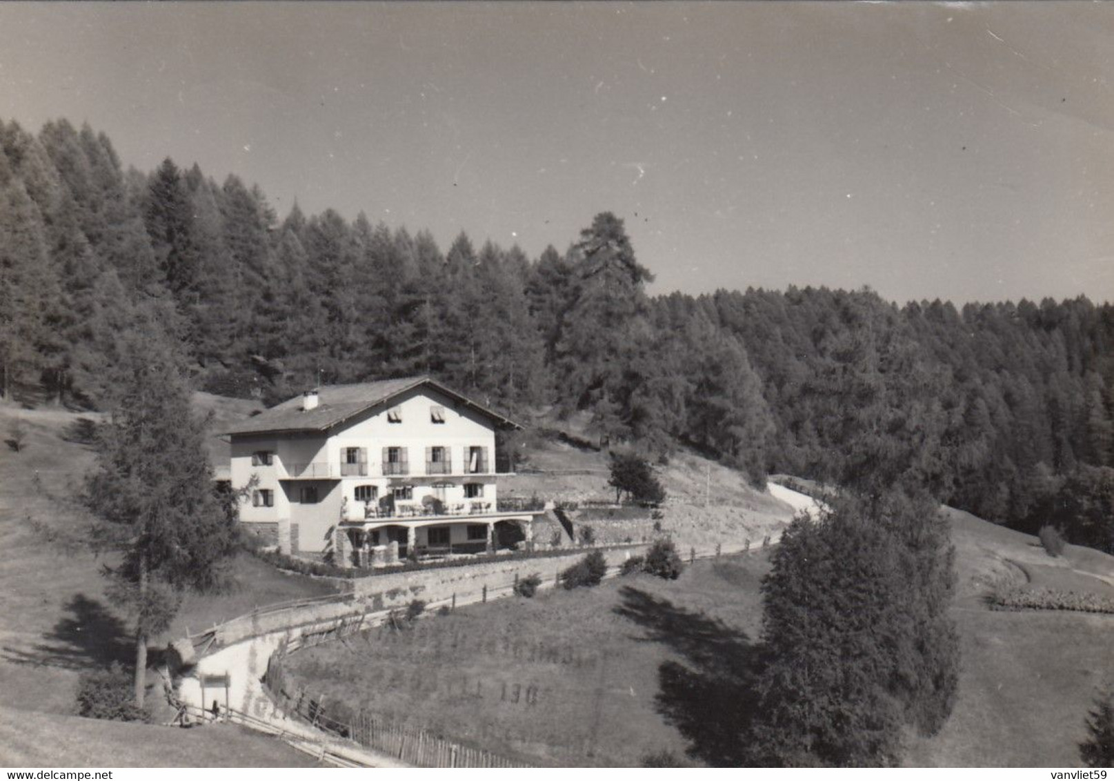 ALTREI-ALTERIVO-BOZEN-BOLZANO- PENSIONE=AI LARICI-LARCHENHEIM=CARTOLINA VERA FOTOGRAFIA- VIAGGIATA IL 28-7-1965 - Bolzano (Bozen)