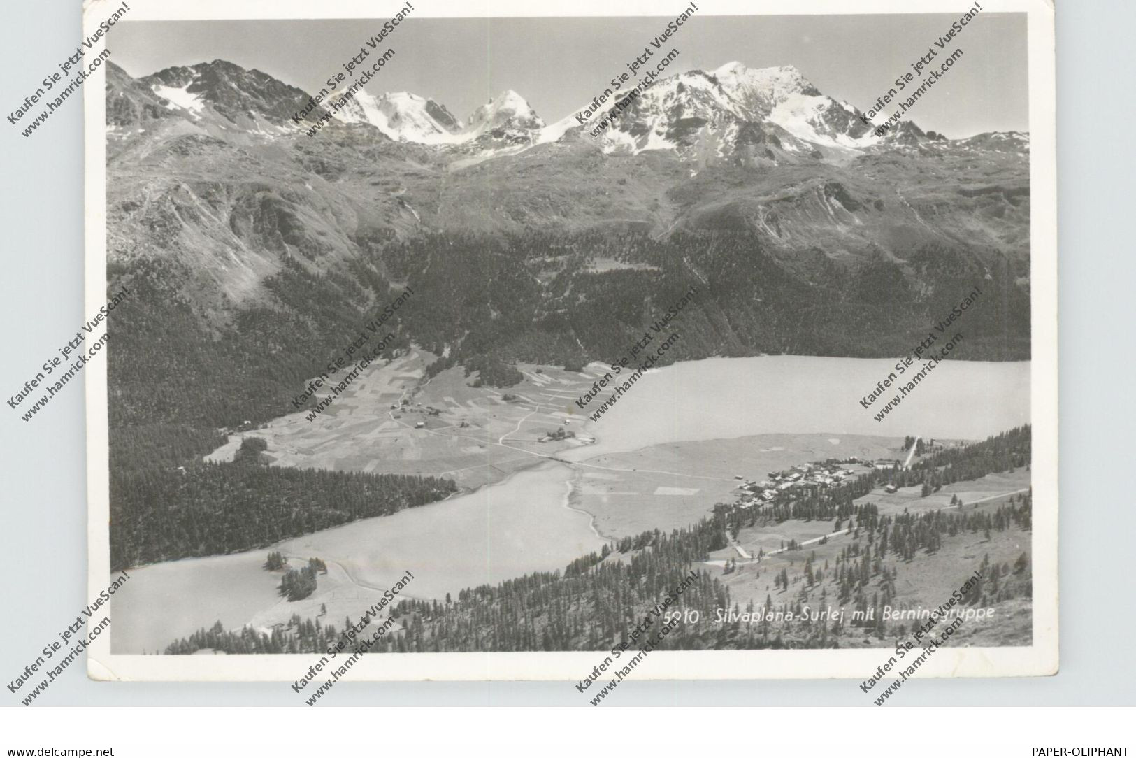 CH 7513 SILVAPLANA - SURLEJ & Berninagruppe, 1952 - Silvaplana