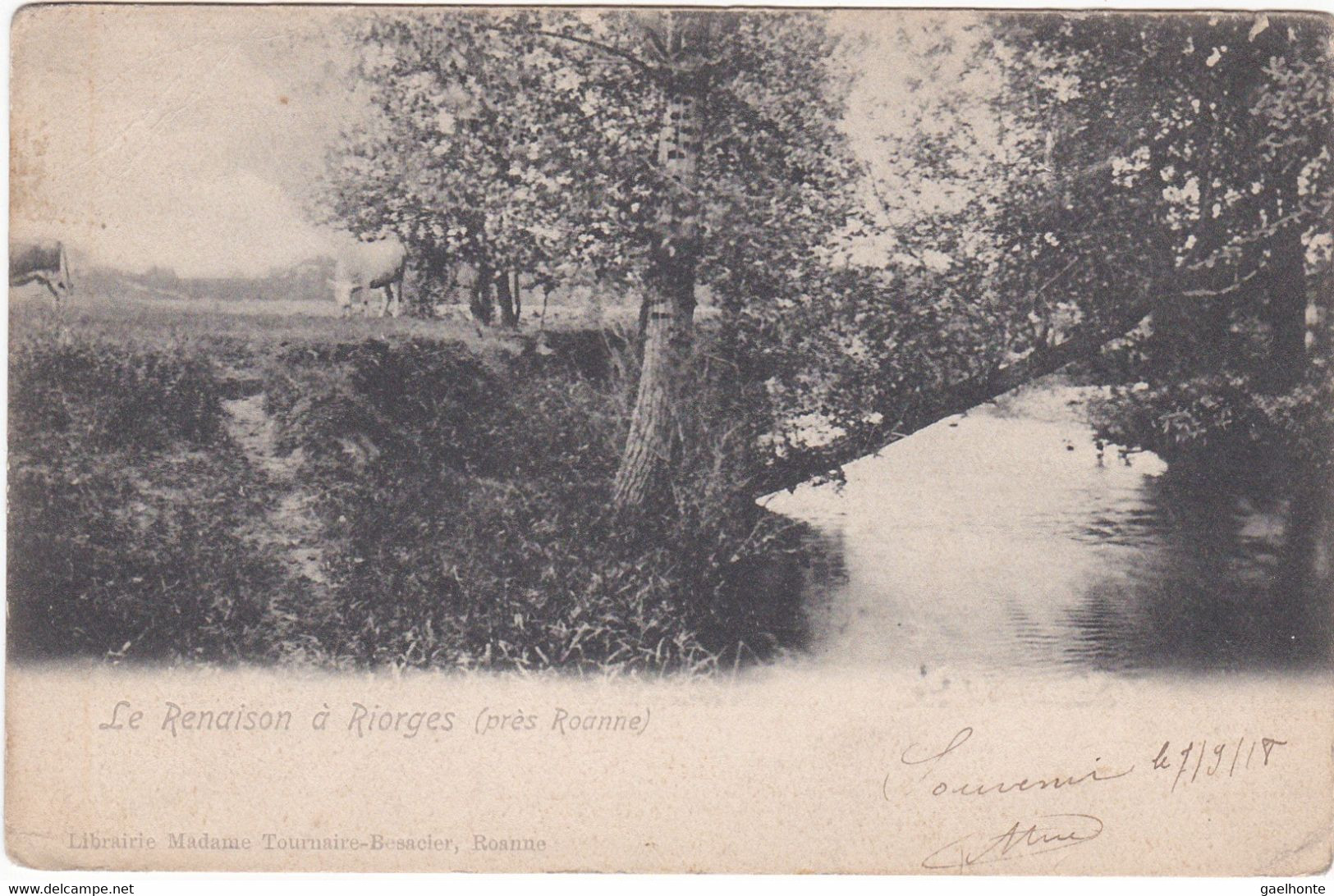 F3471 RIORGES - VUE SUR LE RENAISON AU BORD D'UN CHAMPS - DOS NON DIVISE - Riorges