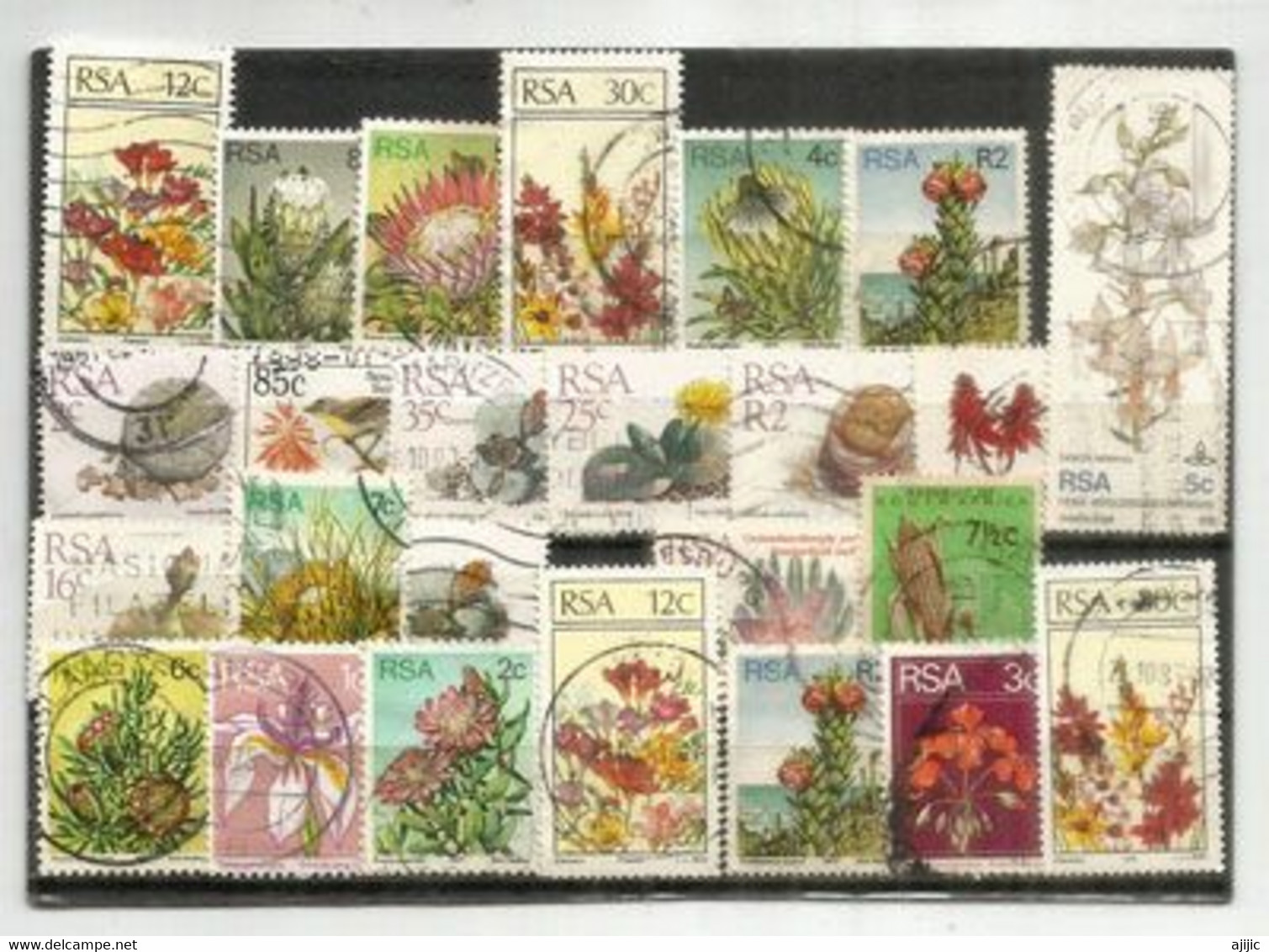 Fleurs Endémiques à L'AFRIQUE DU SUD, Beau Lot De 25 Timbres Oblitérés FLEURS, Grands Formats, 1 ère Qualité # 2 - Usados