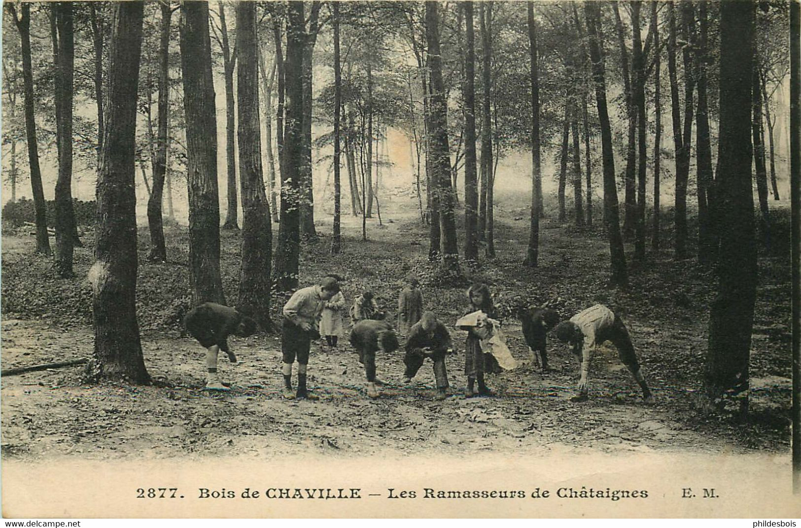 HAUTS DE SEINE  CHAVILLE  Les Ramasseurs De Chataignes - Chaville