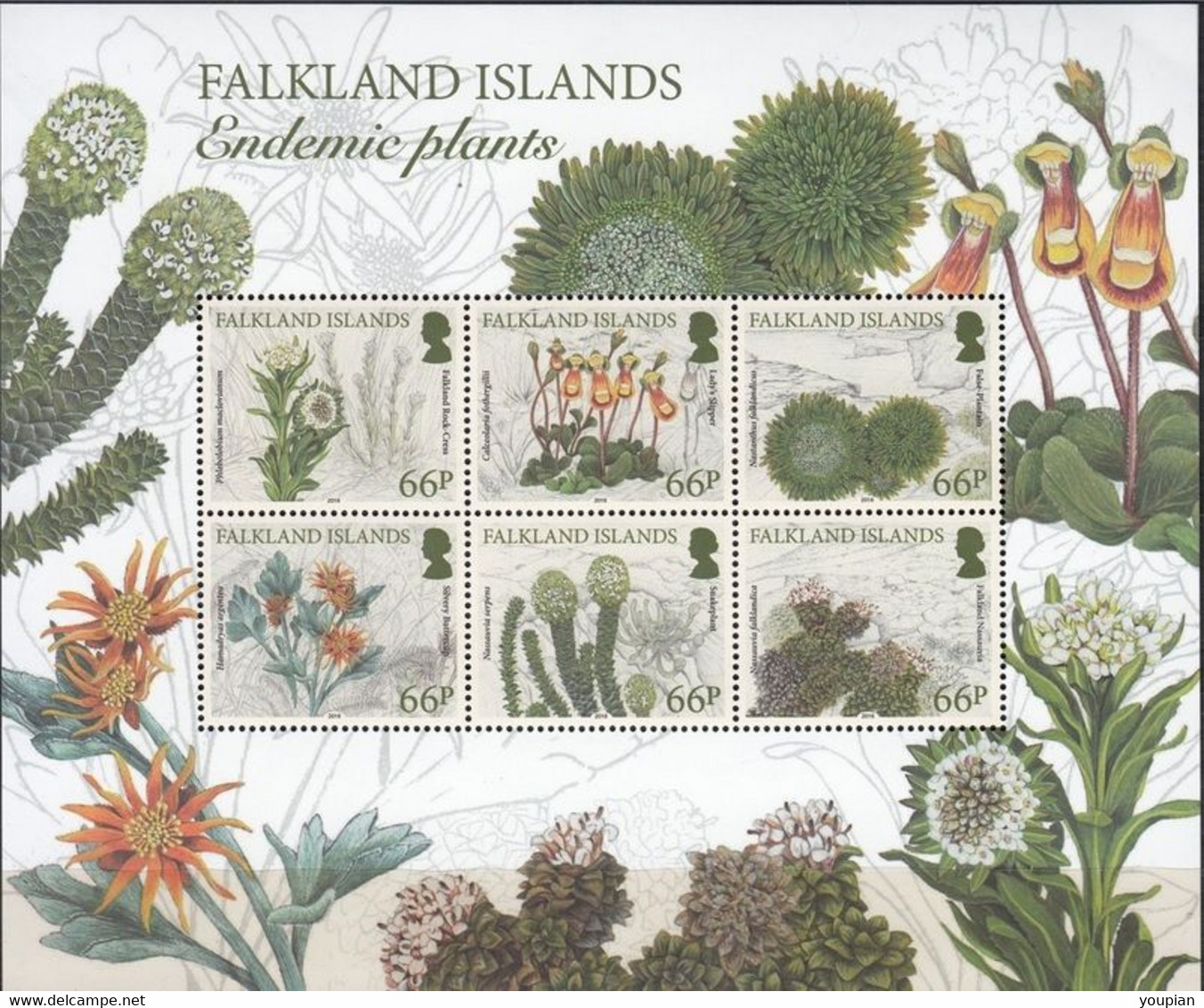 Falkland Islands 2016, Endemic Plants, MNH Sheet - Islas Malvinas