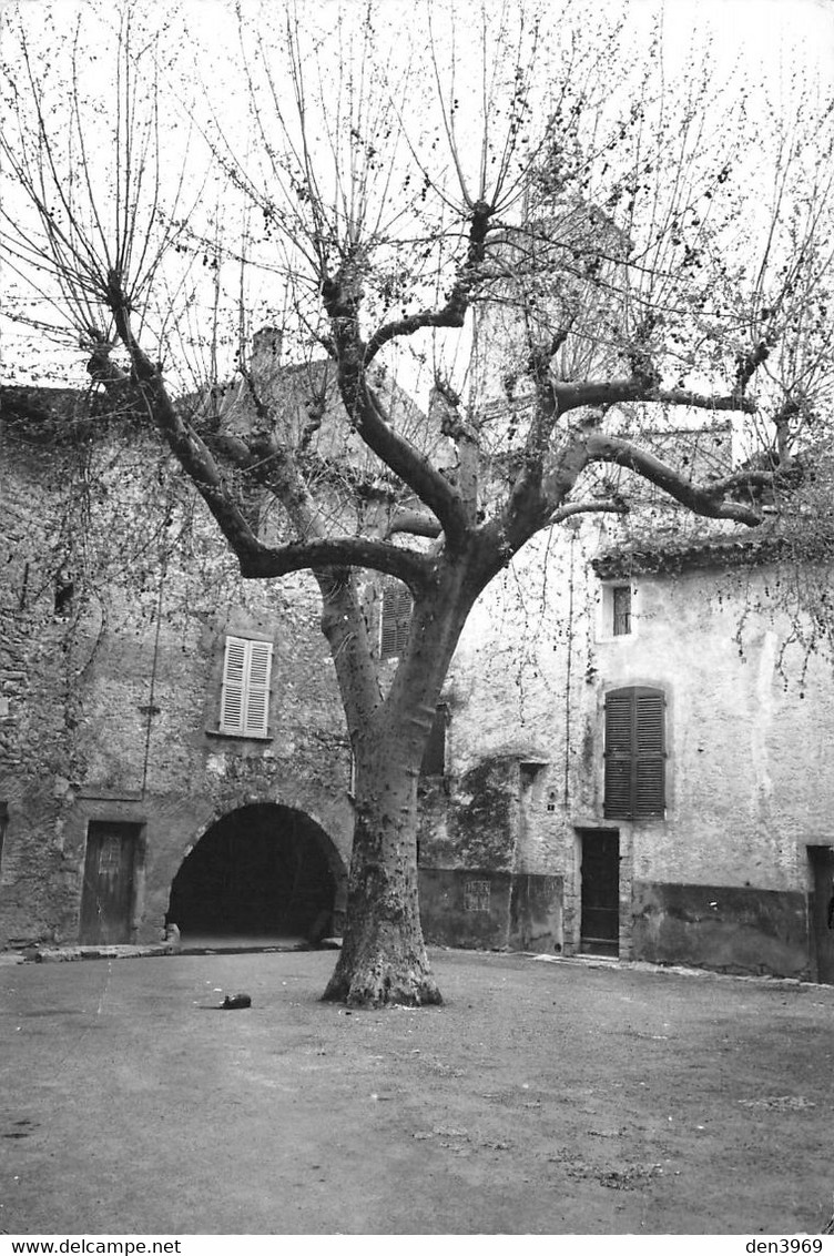 BESSE-sur-ISSOLE - Place De L'Horloge - Collection Bar-Tabac-Restaurant Giraud - Arbre - Besse-sur-Issole