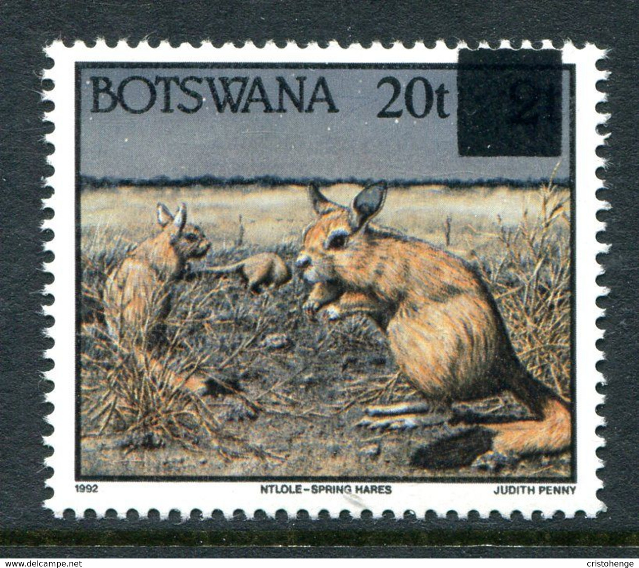 Botswana 1996 Animal Surcharges - 20t On 2t Spring Hare MNH (SG 817) - Botswana (1966-...)