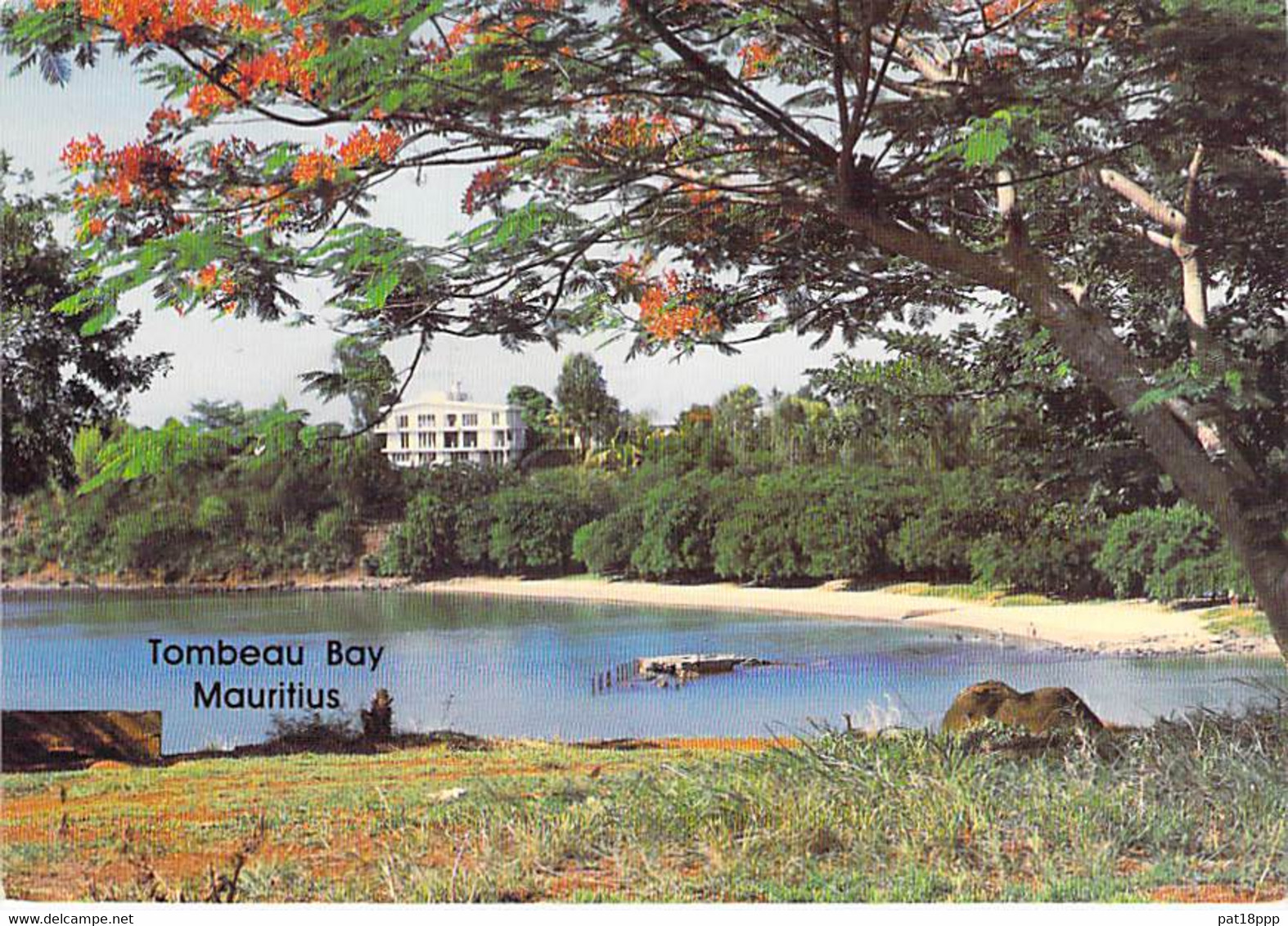 ** Lot De 5 Cartes ** ILE MAURICE Mauritius - Flamboyant Flame Tree Bome Boom Albero árbol - CPSM CPM GF Afrique Africa - Mauritius