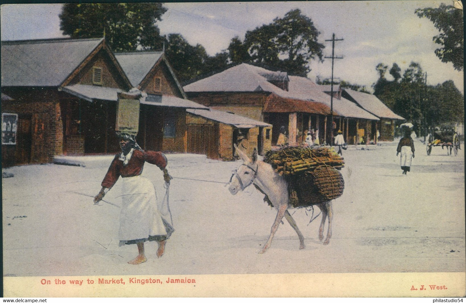 1909, Picture Postcard Sent From KINGSTON To Altona - Jamaica (...-1961)