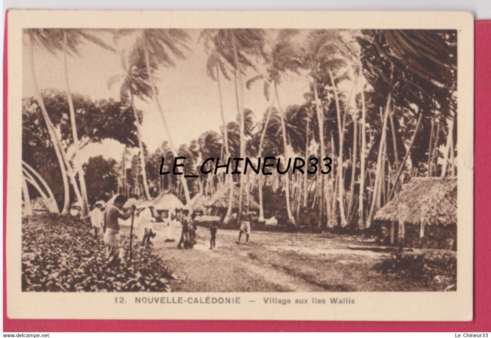 NOUVELLE CALEDONIE--Village Aux Iles WALLIS----animé---cpsm Pf - Wallis Et Futuna