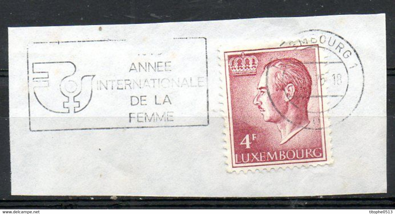 LUXEMBOURG. Flamme Sur Fragment D'enveloppe. Année Internationale De La Femme. - Franking Machines (EMA)