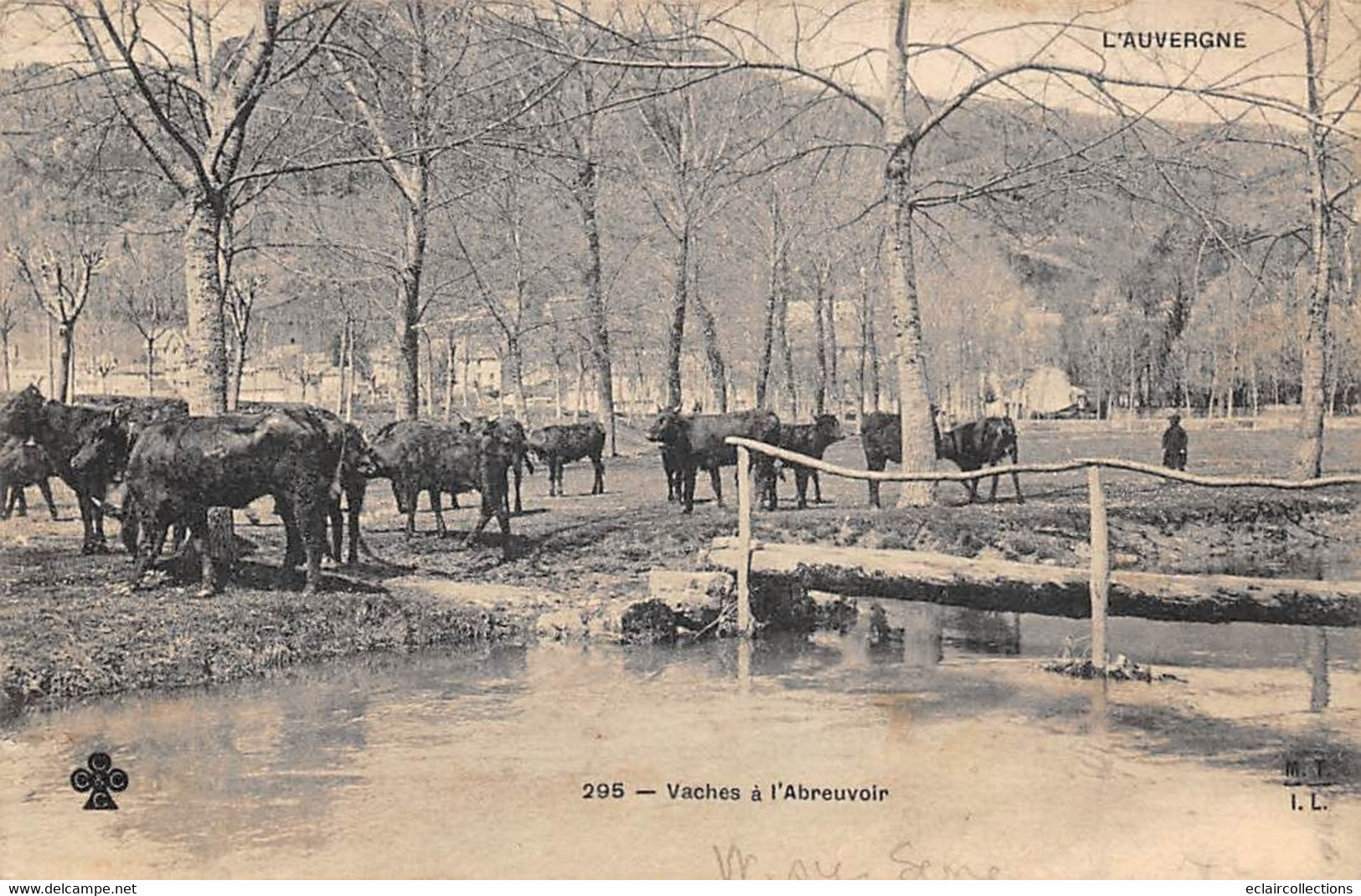 Vic Sur Cère        15        Vaches  A L Abreuvoir. En Partie Décollée      (Voir Scan) - Other & Unclassified