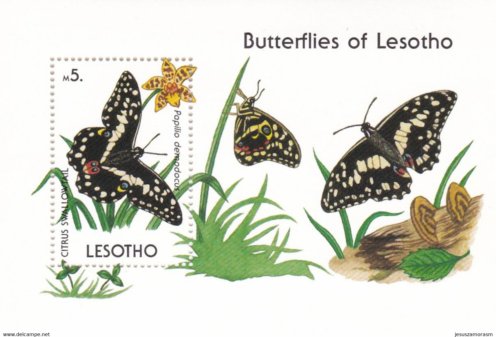 Lesotho Hb 75 - Lesotho (1966-...)