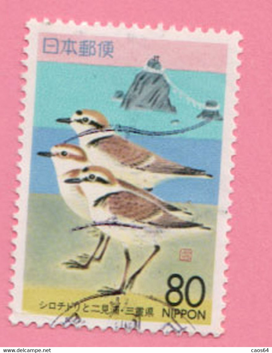1994 GIAPPONE Uccelli Kentish Plover (Charadrius Alexandrinus) And Futamiura Beach - 80 Y Usato - Used Stamps