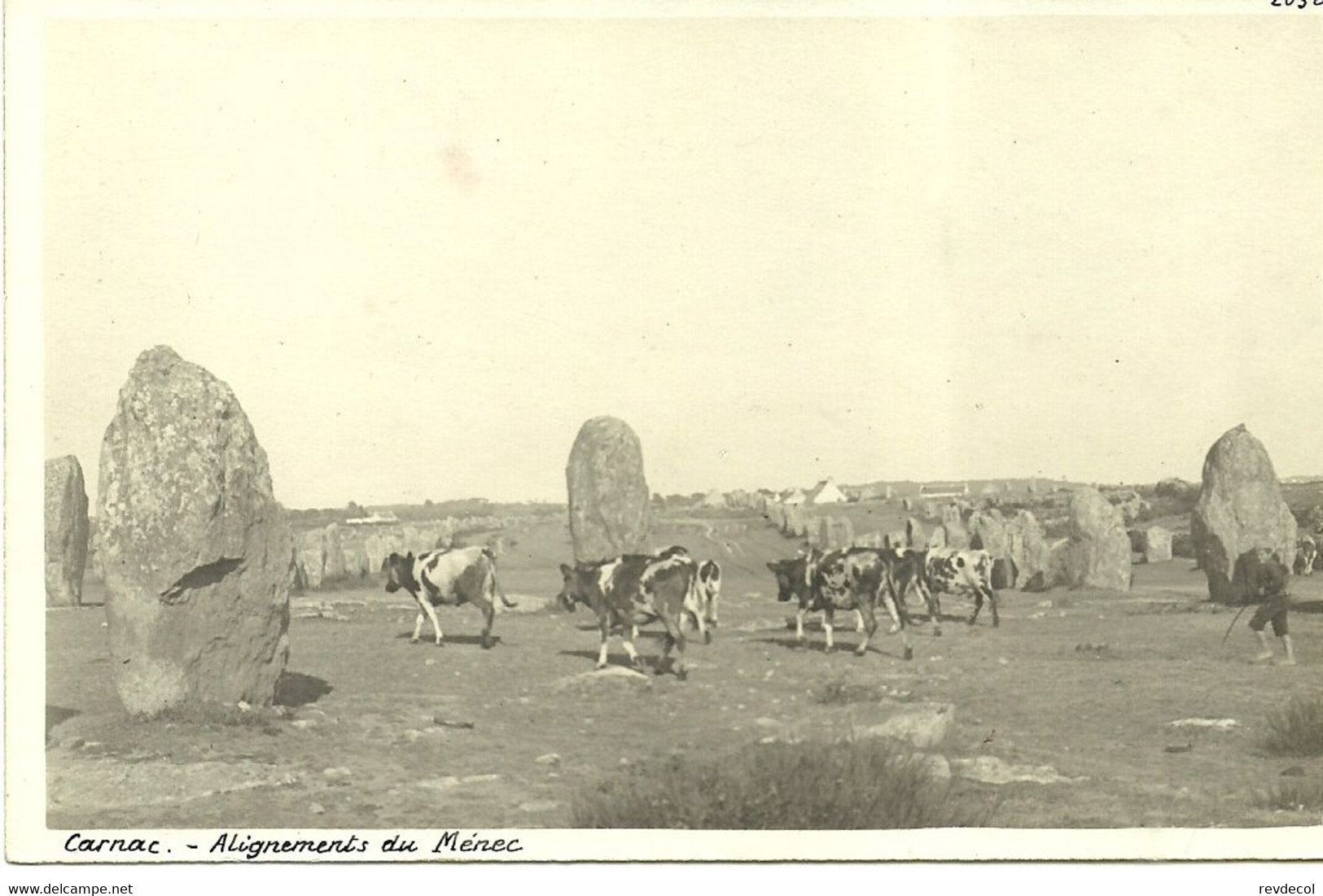 CARNAC  -- Alignements Du Ménec                                               -- - Carnac