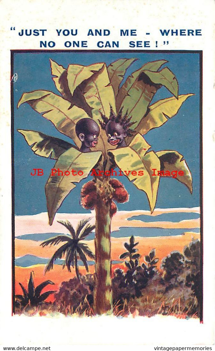 313105-Black Americana, Bamforth No 1558, Children In Coconut Tree, No One Can See! - Black Americana