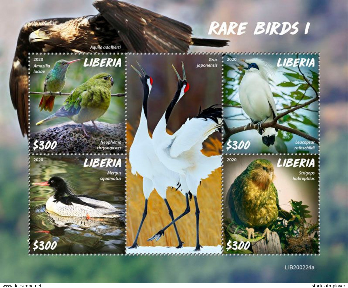 Liberia 2020 Fauna  Rare Birds I  S202007 - Liberia