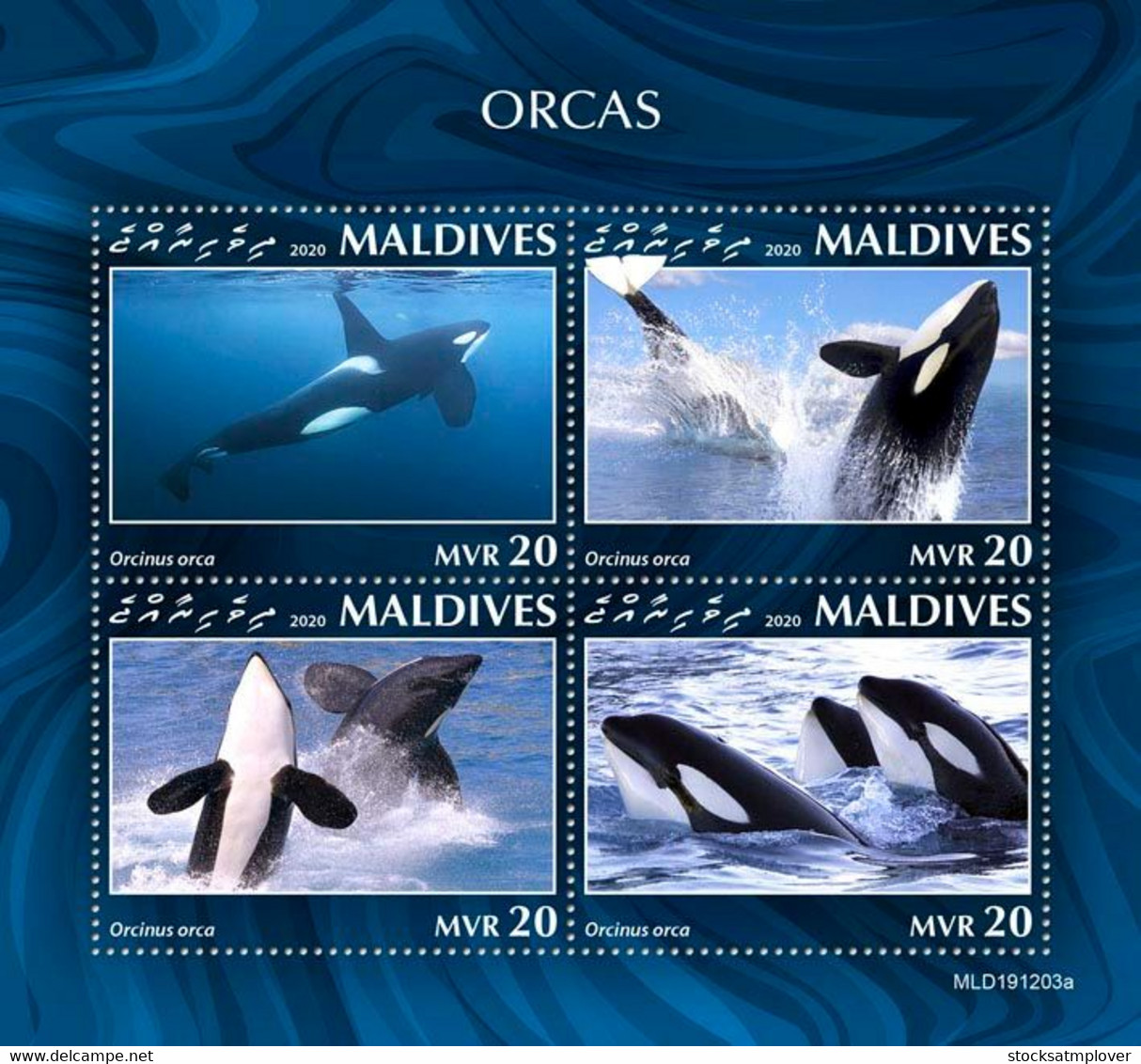 Maldives 2020 Fauna  Orcas  S202007 - Maldivas (1965-...)