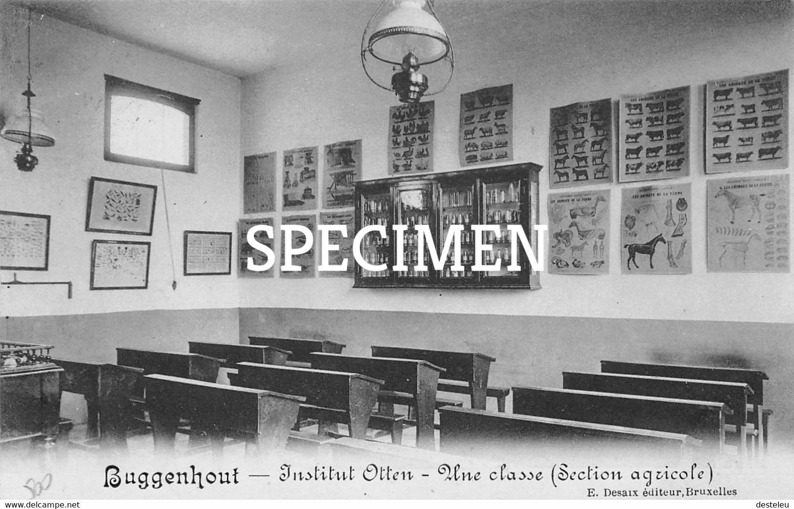 Institut Otten Une Classe Section Agricole - Buggenhout - Buggenhout