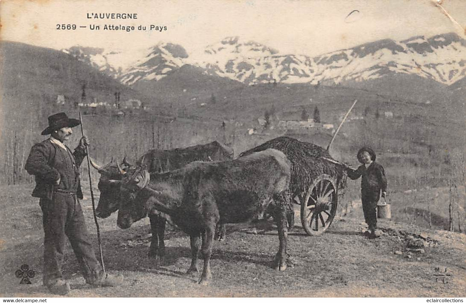 Non Localisé. Auvergne. Cantal        15       Attelage  Du Pays    Edition M T I L      (Voir Scan) - Otros & Sin Clasificación