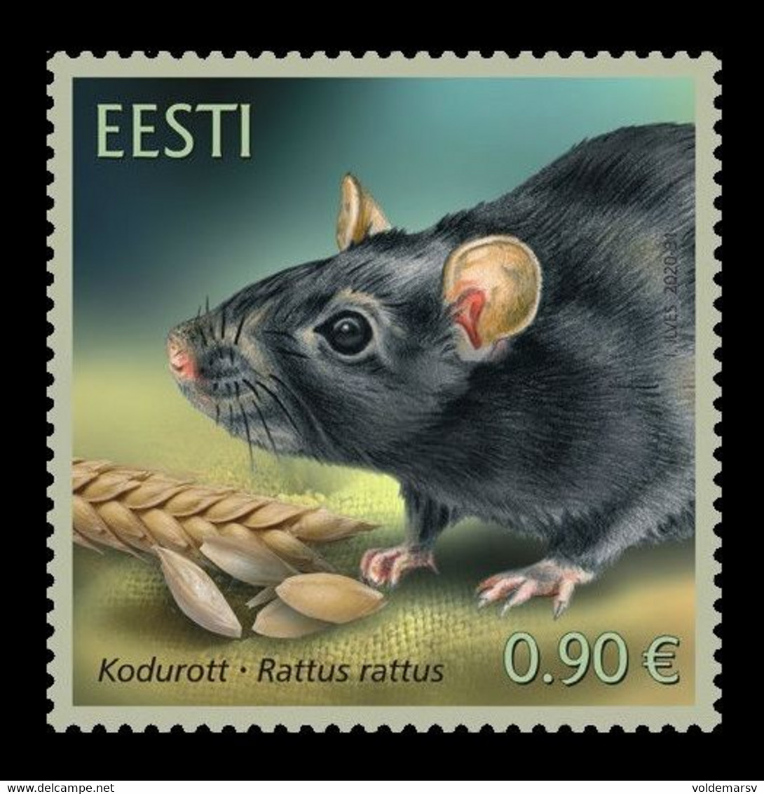 Estonia 2020 Mih. 997 Fauna. Black Rat MNH ** - Estonia