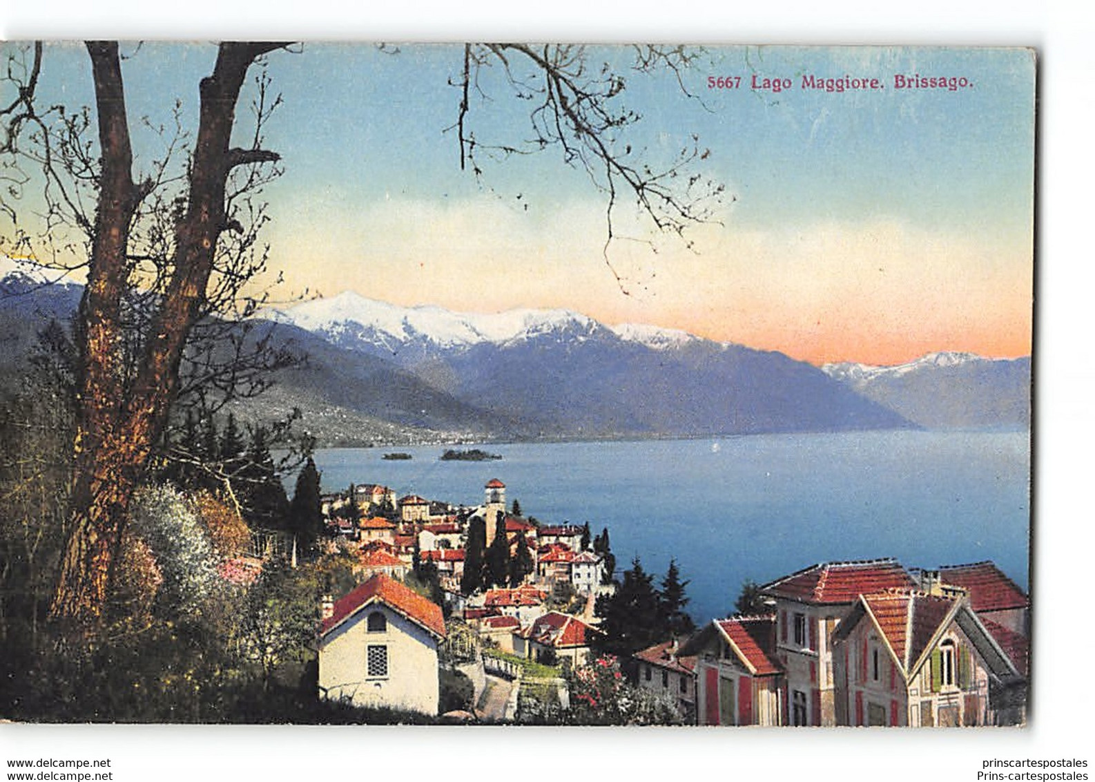 CPA Suisse Lago Maggiore Brissago - Brissago