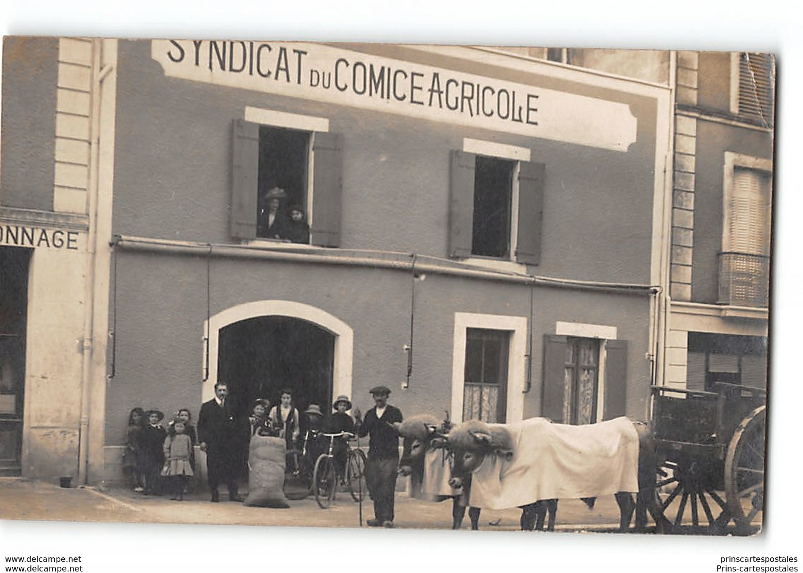 CPA 33 Carte Photo Bazas Le Syndicat Du Comice Agricole - Bazas