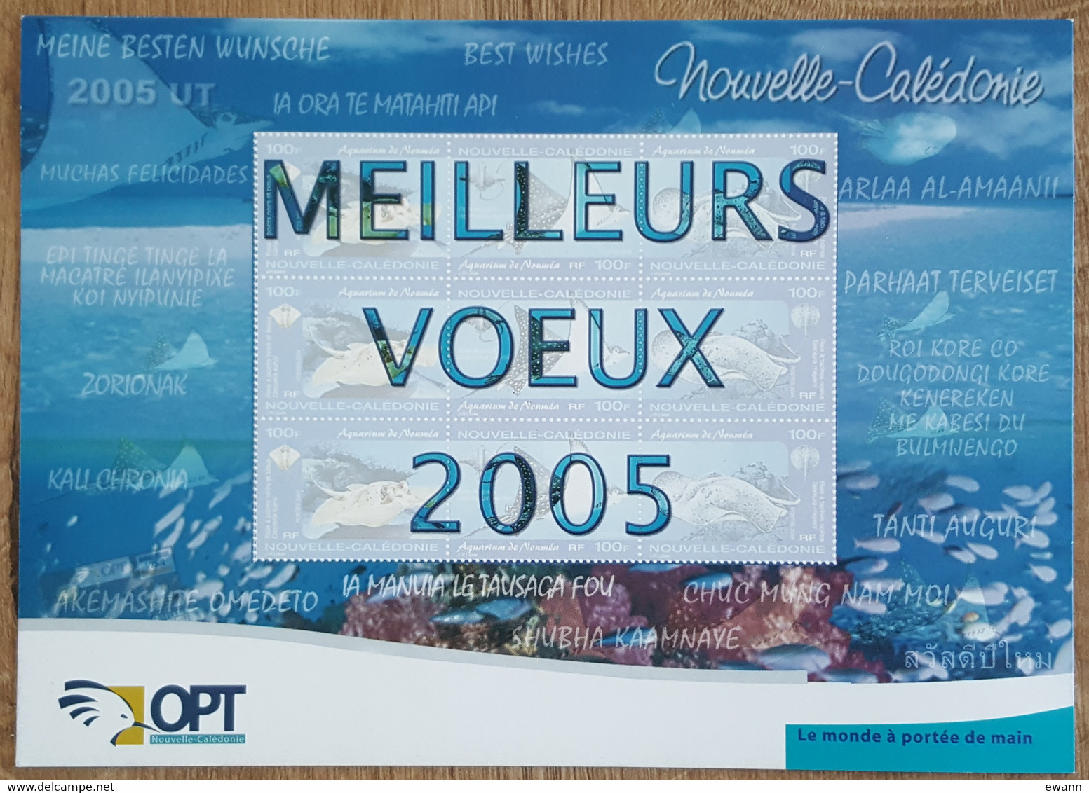 NOUVELLE-CALEDONIE - YT N°915 Sur Document - Aquarium De Nouméa / VOEUX 2005 - Brieven En Documenten