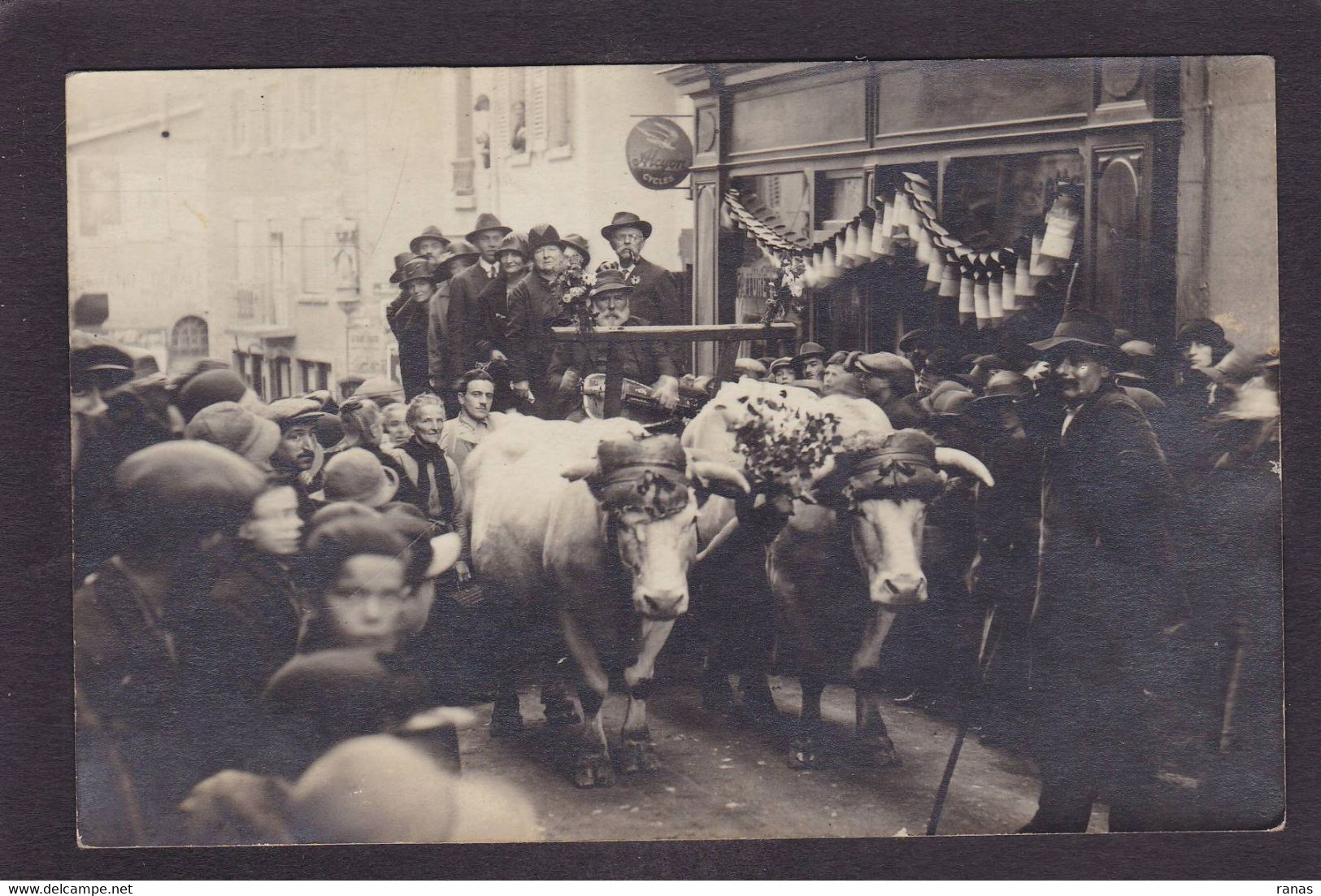 CPA Rhône 69 THIZY Carte Photo Attelage Fête - Thizy