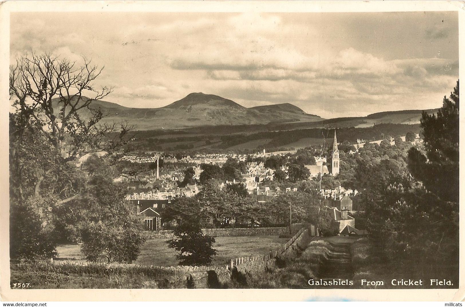 SCOTLAND  ROXBURGHSHIRE GALSHIELS  FROM CRICKET FIELD RP Pu 1959 - Roxburghshire